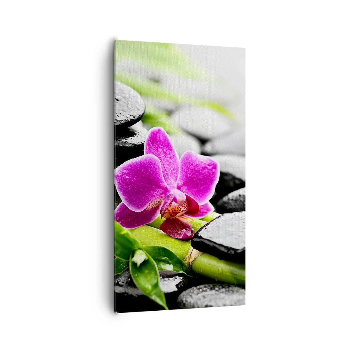 Impression sur toile - Image sur toile - Dans un équilibre de calme - 65x120 cm