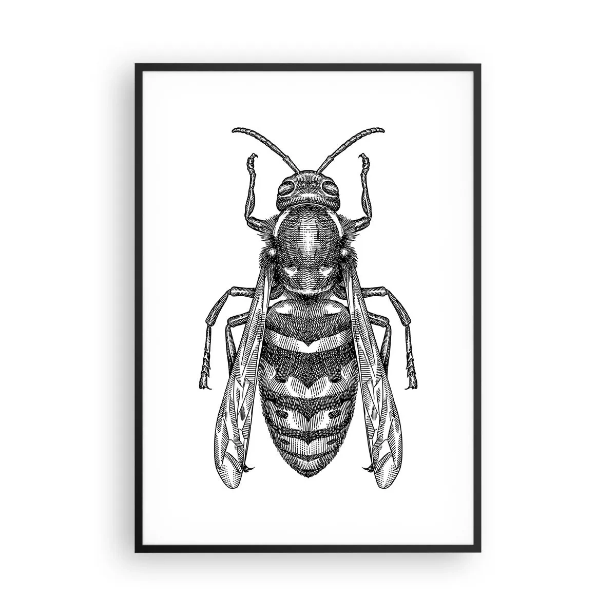 Affiche dans un cadre noir - Poster - D'une planète d'insectes - 70x100 cm