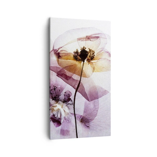 Impression sur toile - Image sur toile - Corps de fleurs transparente - 45x80 cm