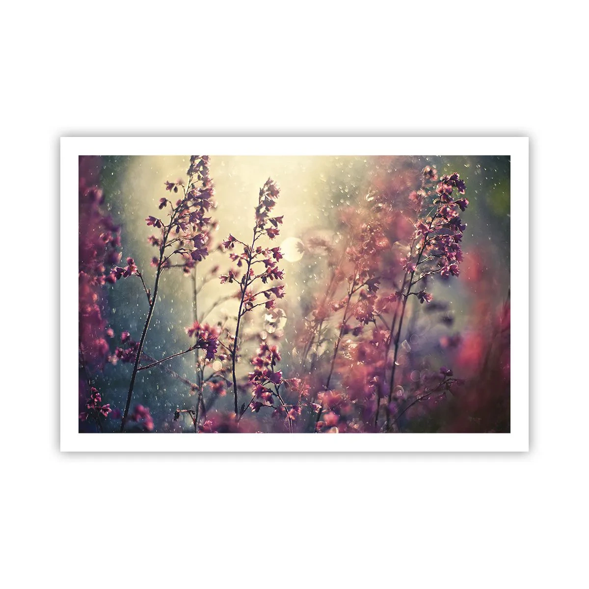 Affiche - Poster - Jardin secret - 91x61 cm
