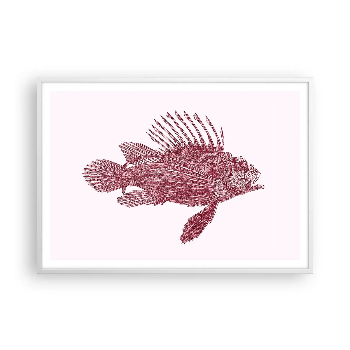 Affiche dans un cadre blanc - Poster - Un habitant des eaux exotiques - 100x70 cm