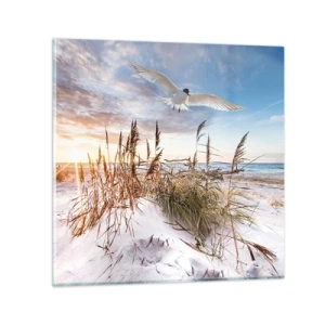 Impression sur verre - Image sur verre - Vent de mer - 40x40 cm