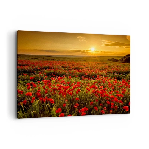 Impression sur toile - Image sur toile - Un champ de coquelicots rouges dans la lueur du soleil couchant - 100x70cm - Parmi les vagues des prairies bruissantes, parmi les fleurs du déluge - Décoration murale moderne pour le salon et la chambre ARTTOR