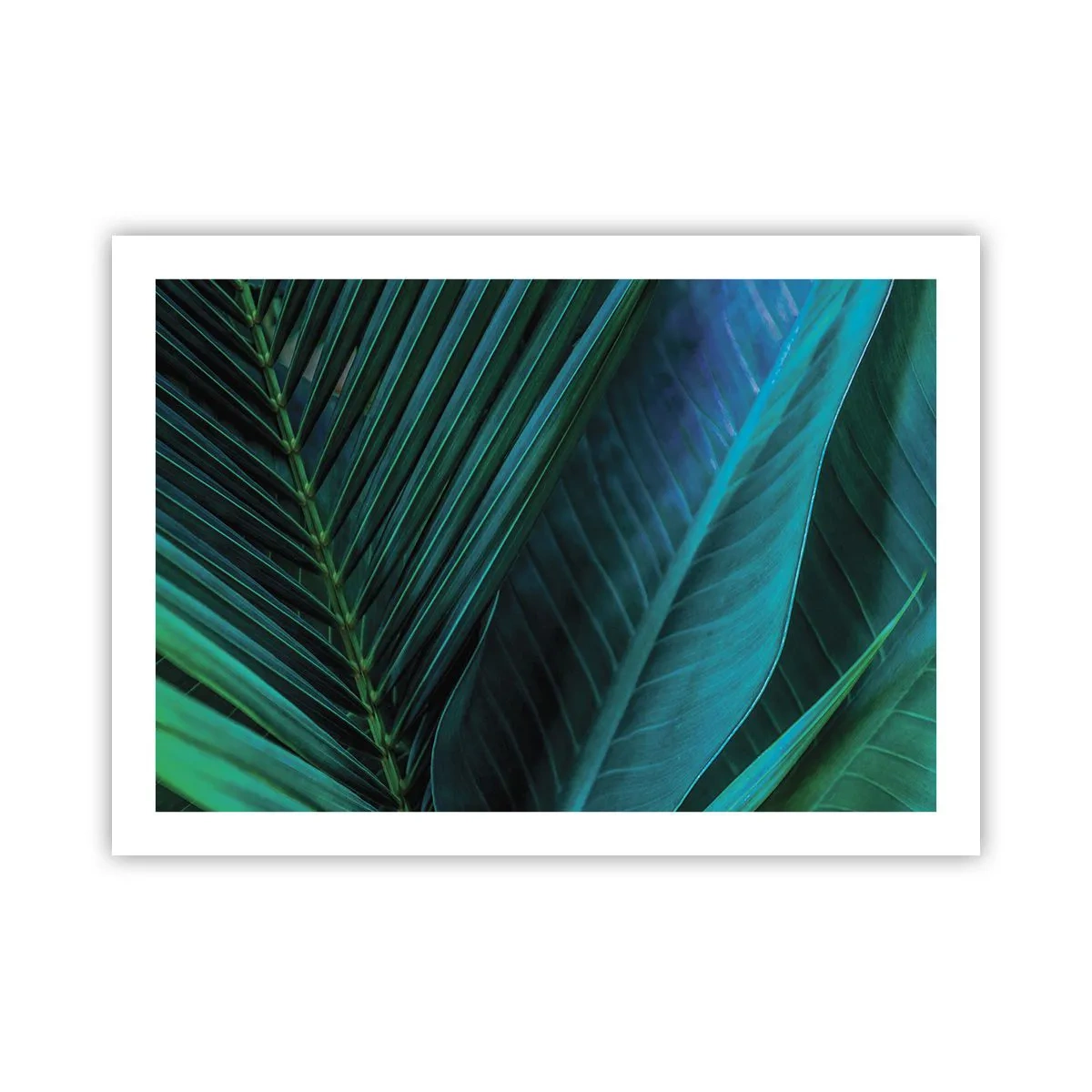 Affiche - Poster - L'anatomie du vert - 70x50 cm