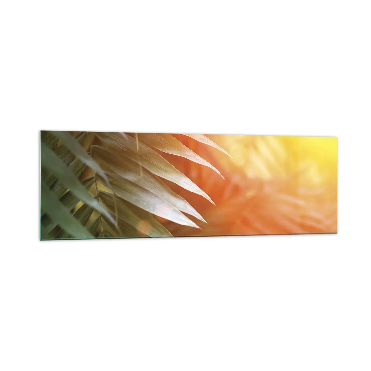 Impression sur verre - Image sur verre - Feuilles de palmier dans les rayons du soleil couchant - 160x50cm - Matinée dans la jungle - Décoration murale moderne pour le salon et la chambre ARTTOR