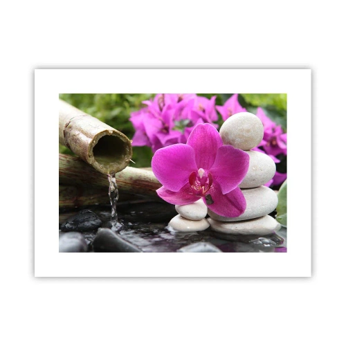 Affiche - Poster - Tu te reposes déjà - 40x30 cm