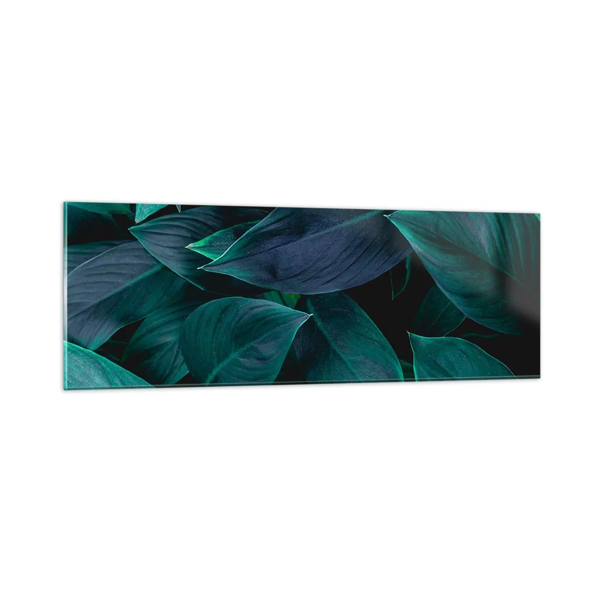 Impression sur verre - Image sur verre - le vert lui-même - 90x30 cm