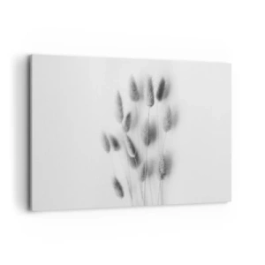 Impression sur toile - Image sur toile - Graminées délicates dans des tons de gris sur fond blanc - 120x80cm - Son herbe duveteuse - Décoration murale moderne pour le salon et la chambre ARTTOR