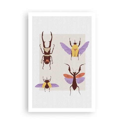 Affiche - Poster - Le monde des insectes - 61x91 cm