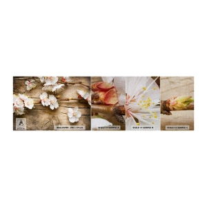Échantillon de Papier Peint Premium Sand - Et c'est devenu le printemps - Fleurs, Brindille avec des fleurs, Nature - 100x30 cm