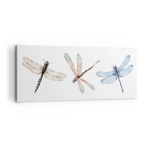 Impression sur toile - Image sur toile - Libellules en apesanteur - 100x40 cm
