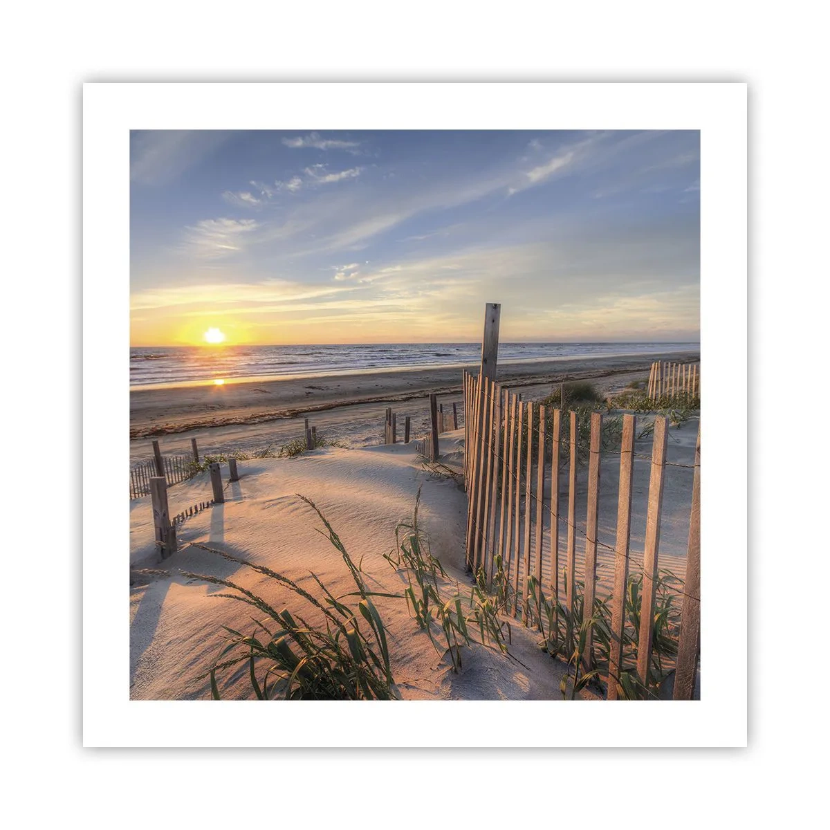 Affiche - Poster - Ombre et brillance du vent - 50x50 cm