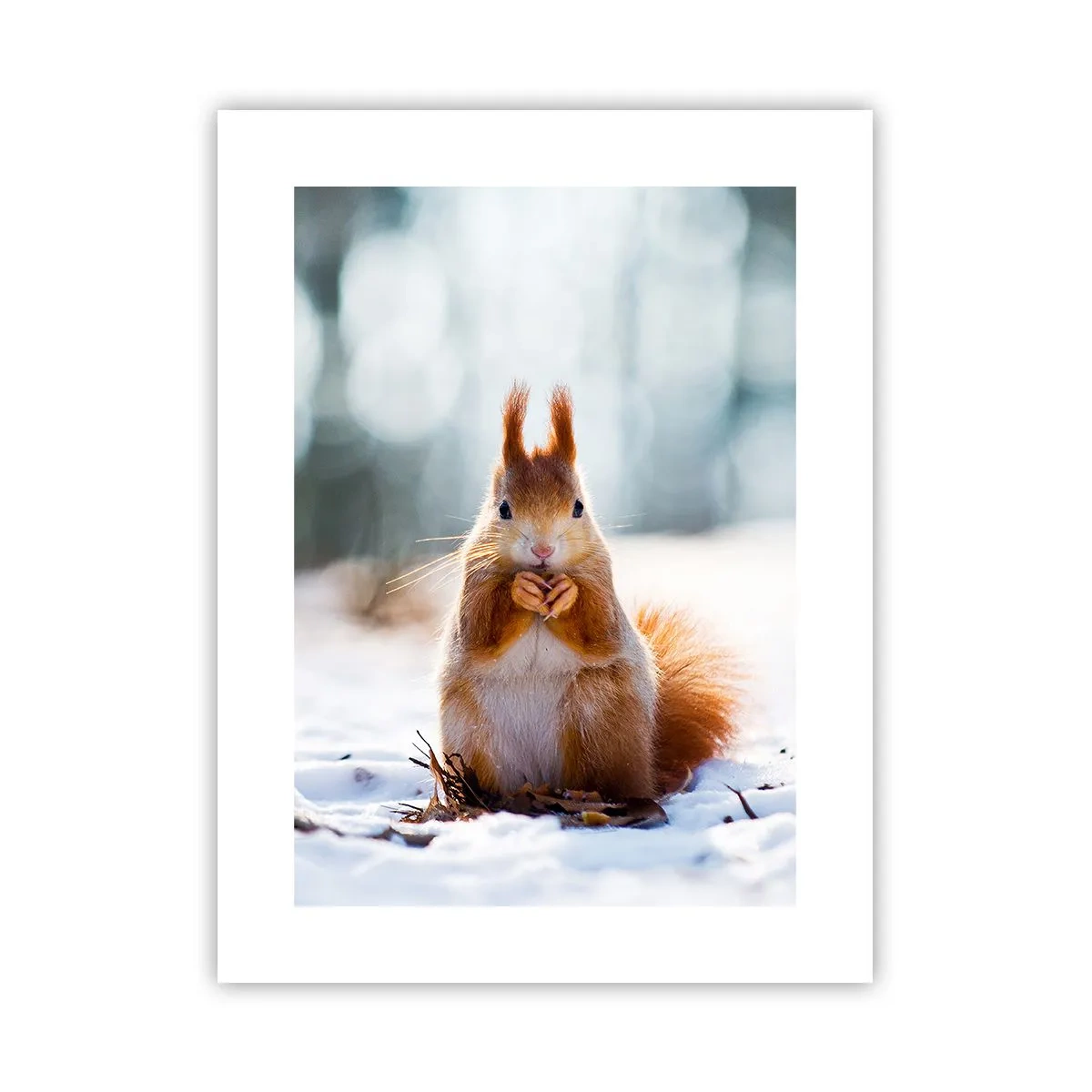 Affiche - Poster - Qu'est ce que tu regardes comme ça? - 30x40 cm