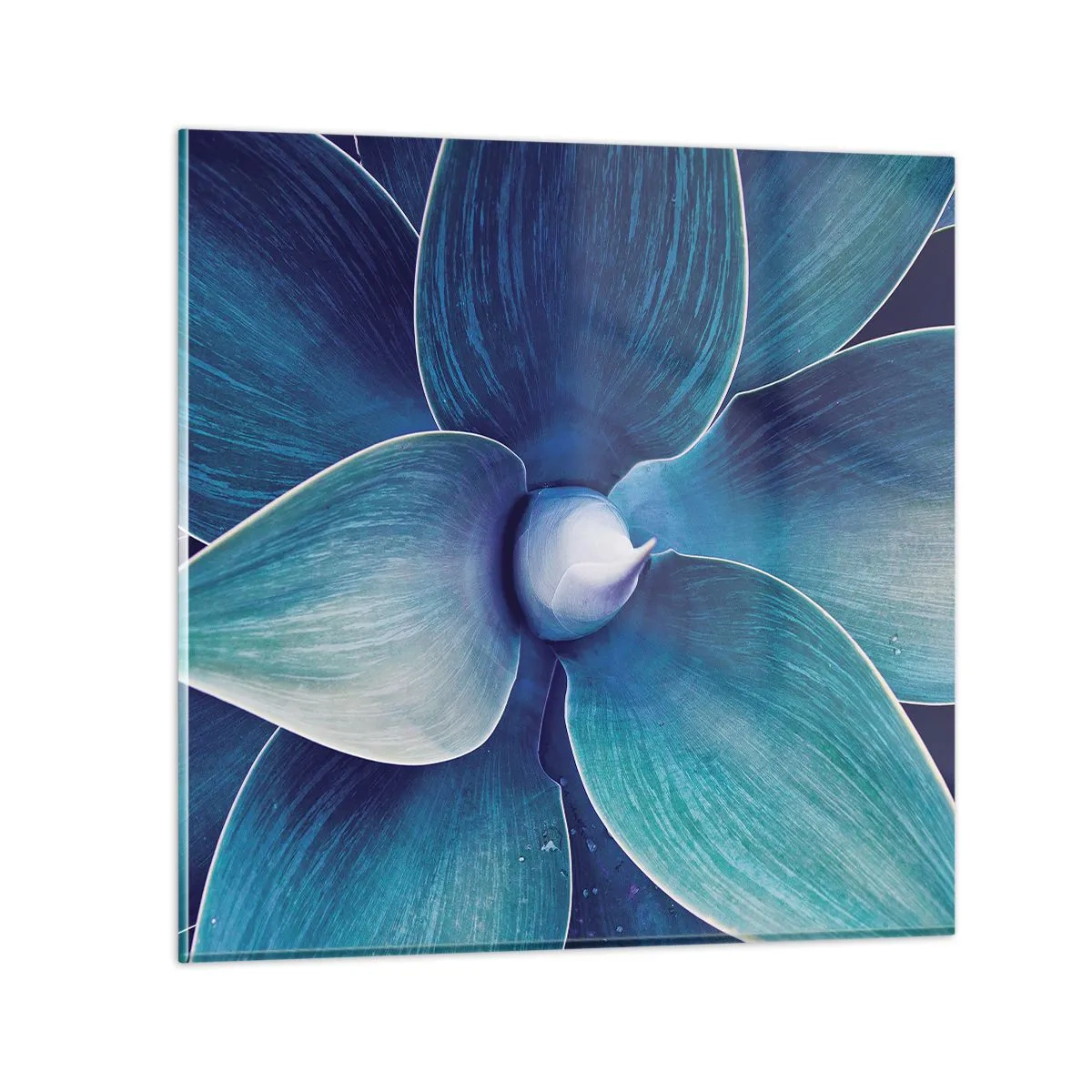 Impression sur verre - Image sur verre - Le bleu du ciel - 50x50 cm