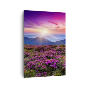 Impression sur toile - Image sur toile - Prairie de montagne avec des fleurs au coucher du soleil - 70x100cm - Les herbes sentaient les grappes fraîches de la récolte - Décoration murale moderne pour le salon et la chambre ARTTOR