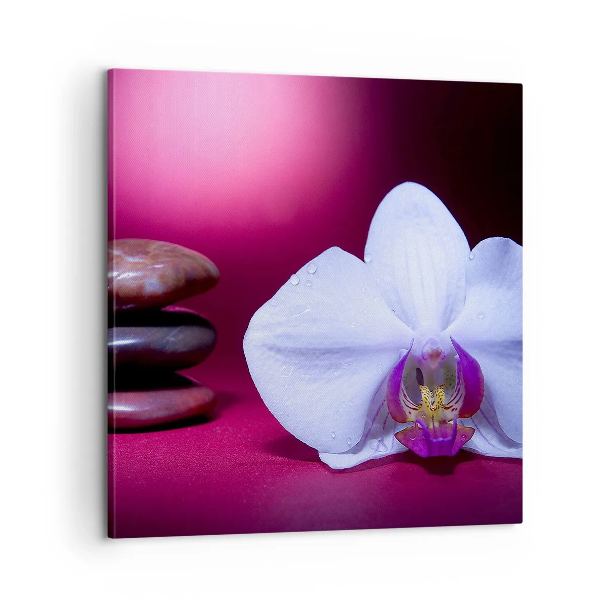Impression sur toile - Image sur toile - Une étude de fraîcheur en violet - 60x60 cm