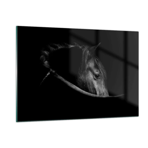 Impression sur verre - Image sur verre - Profil d'un cheval noir dans l'ombre avec un œil visible - 120x80cm - Prince Noir - Décoration murale moderne pour le salon et la chambre ARTTOR