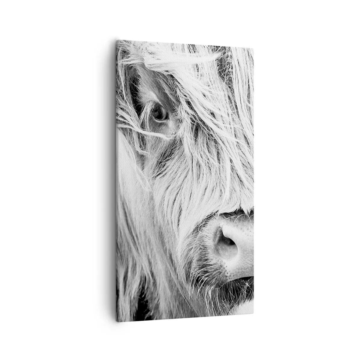 Impression sur toile - Image sur toile - Sauvagerie écossaise - 55x100 cm