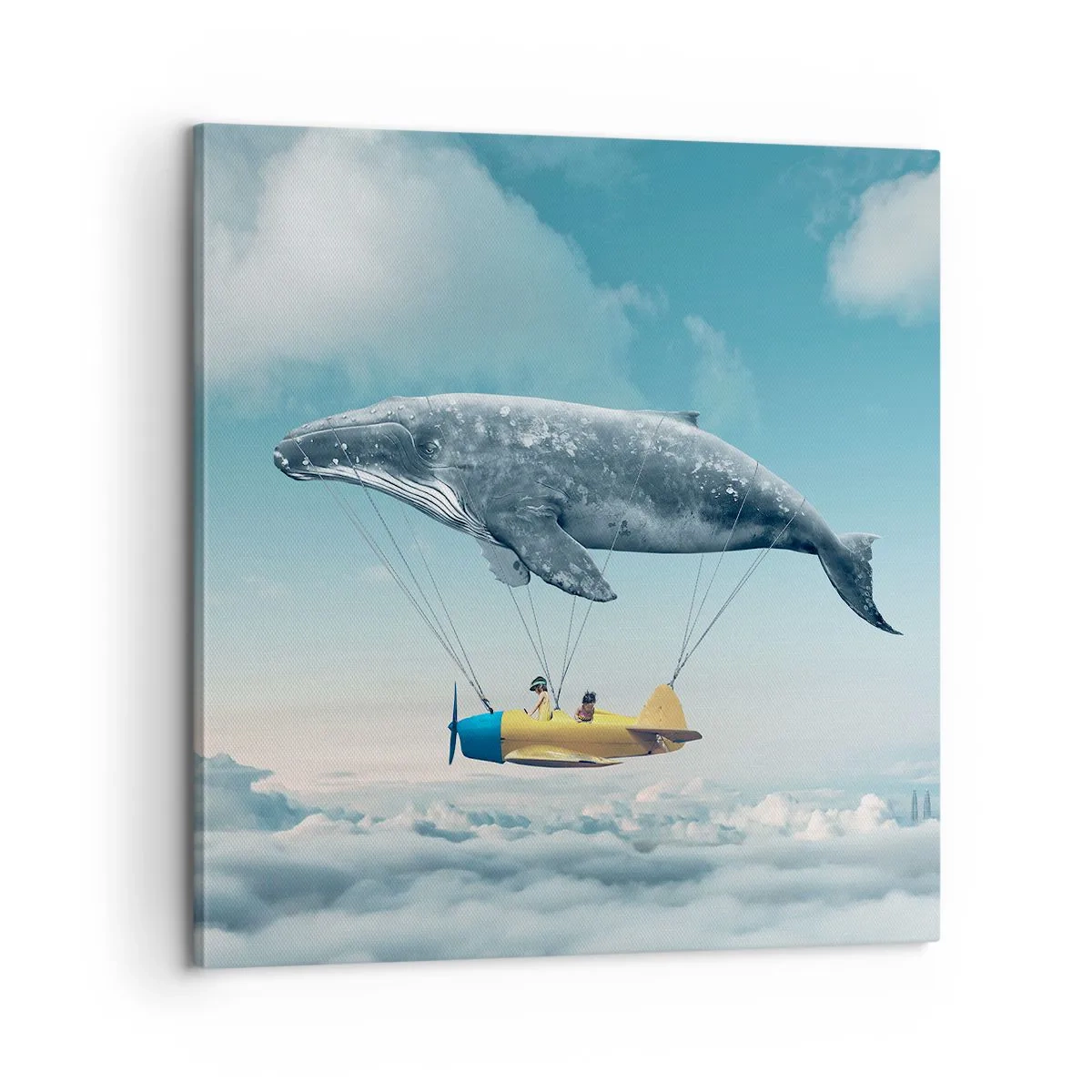 Impression sur toile - Image sur toile - Pourquoi pas? - 60x60 cm