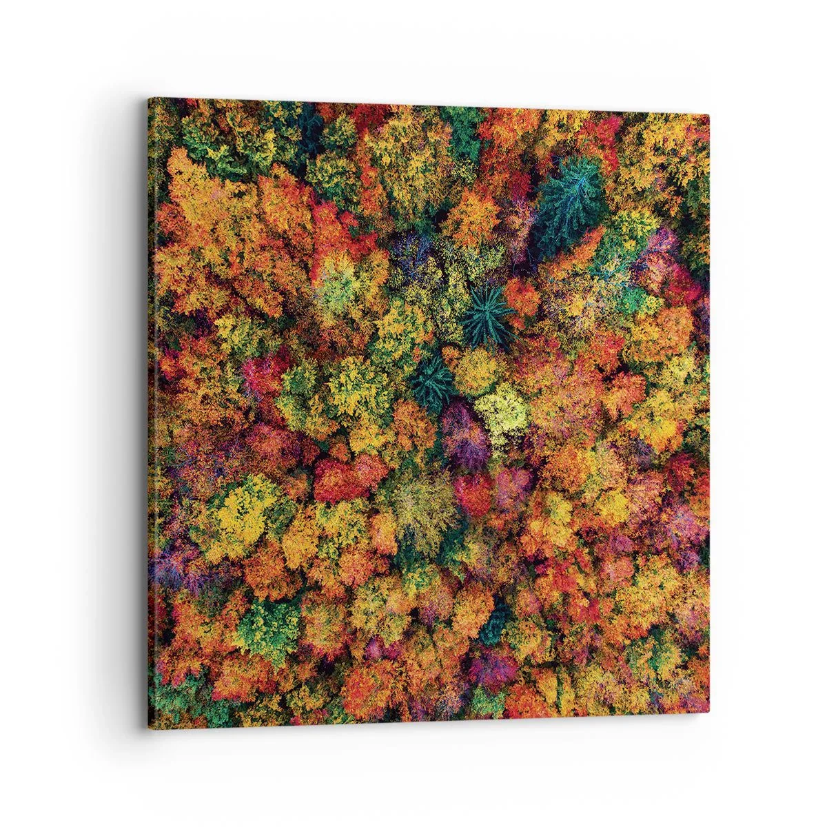 Impression sur toile - Image sur toile - Bouquet d'arbres automnal - 70x70 cm