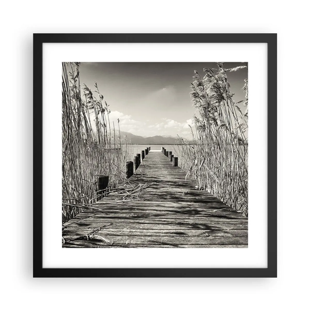 Affiche dans un cadre noir - Poster - Dans le calme de l'herbe - 40x40 cm