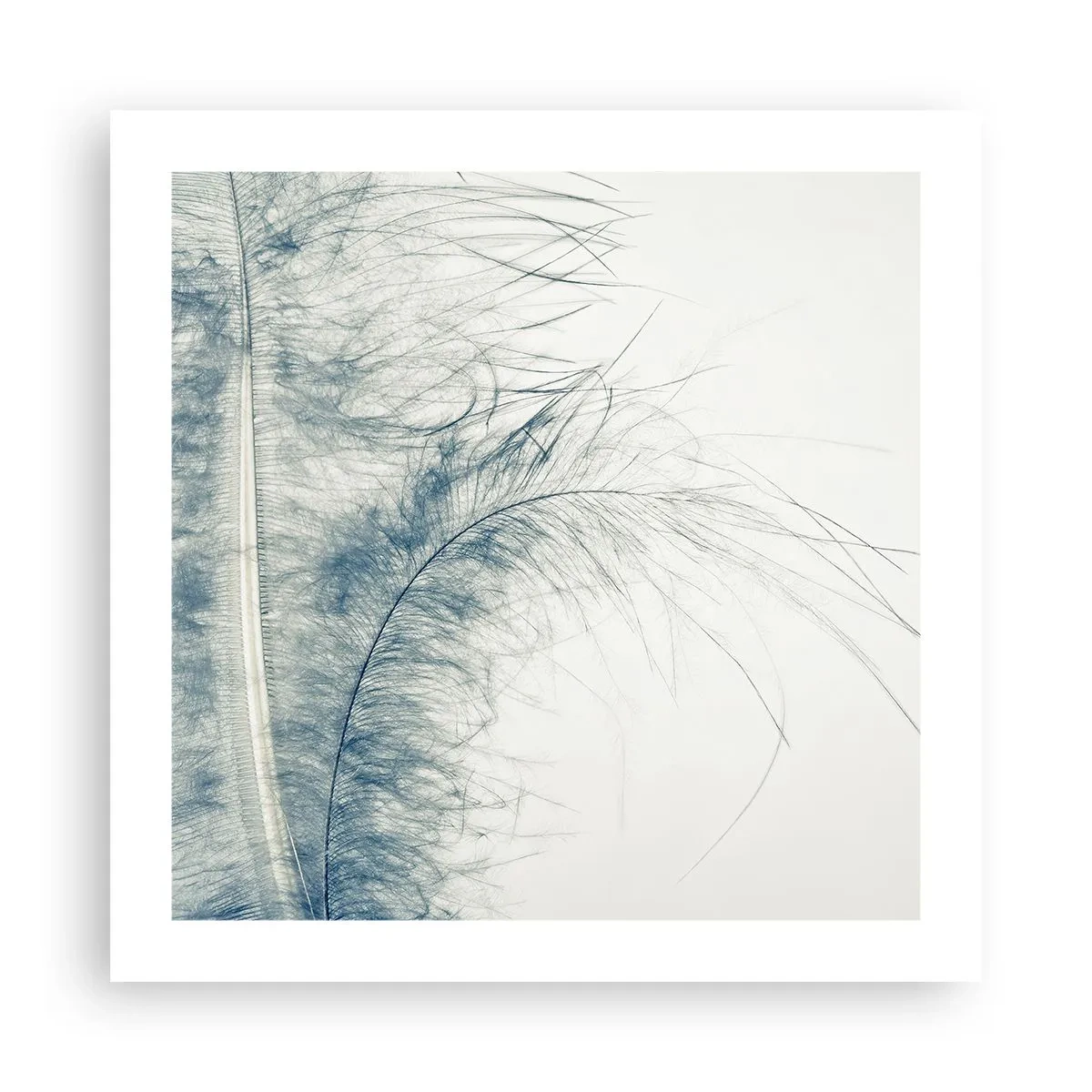 Affiche - Poster - Les sept natures - 50x50 cm