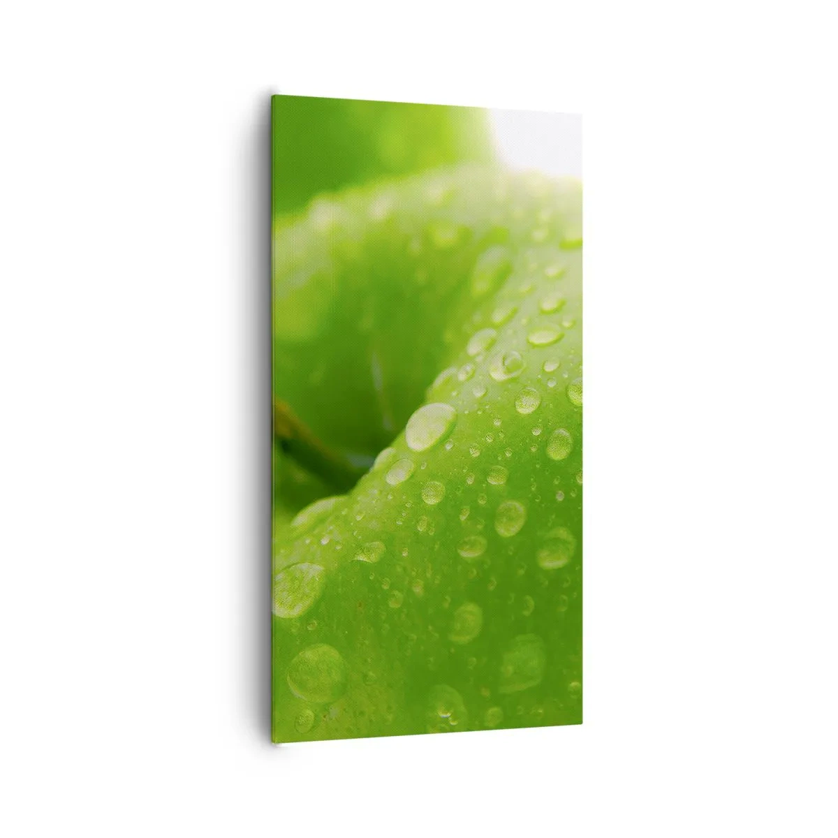 Impression sur toile - Image sur toile - Fraîcheur de verdure fraîche - 65x120 cm