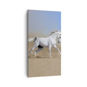 Impression sur toile - Image sur toile - Le plus beau conte de fées arabe - 55x100 cm