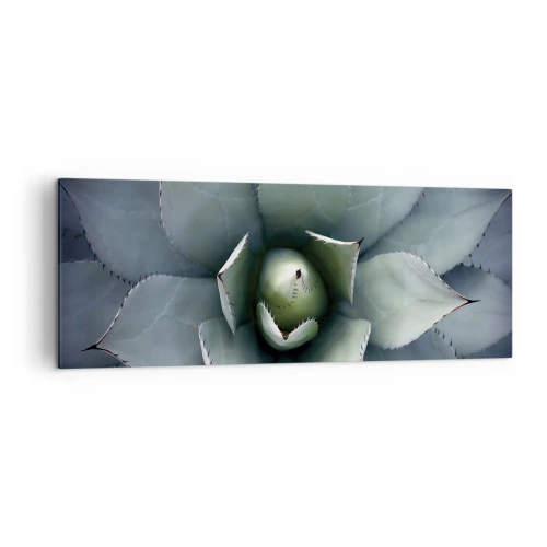 Impression sur toile - Image sur toile - Gros plan d'une rosette d'agave aux délicates nuances de vert - 140x50cm - Wabi et observe - Décoration murale moderne pour le salon et la chambre ARTTOR
