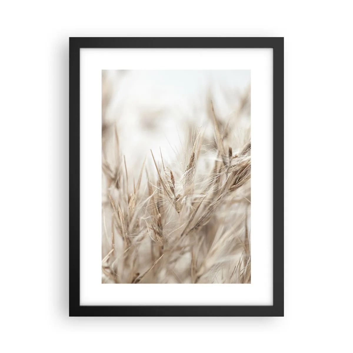 Affiche dans un cadre noir - Poster - Prairie et vent - 30x40 cm