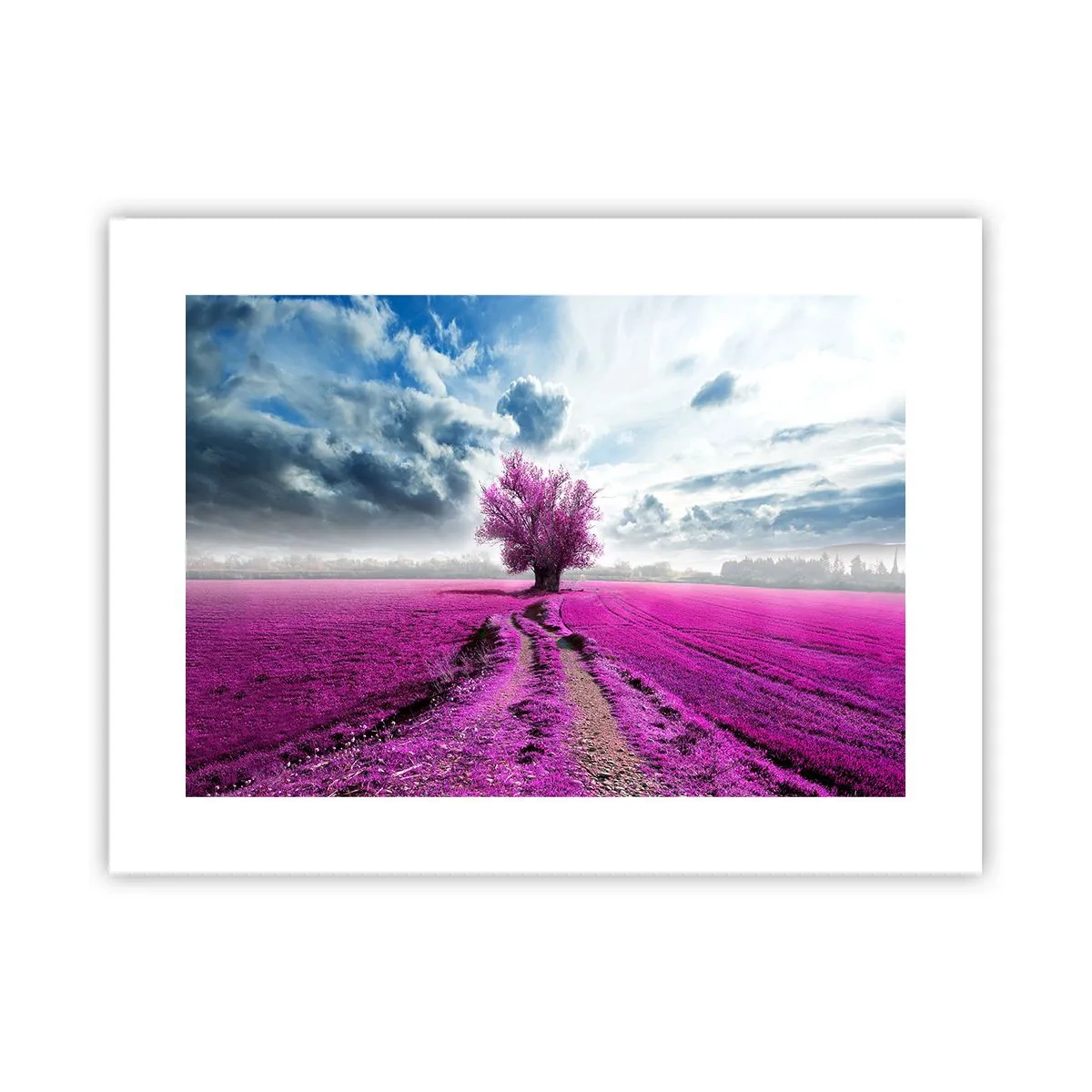 Affiche - Poster - Lande - nature sauvage - 40x30 cm