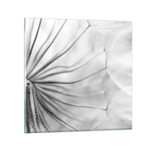 Impression sur verre - Image sur verre - Aigrette avant son envol - 30x30 cm