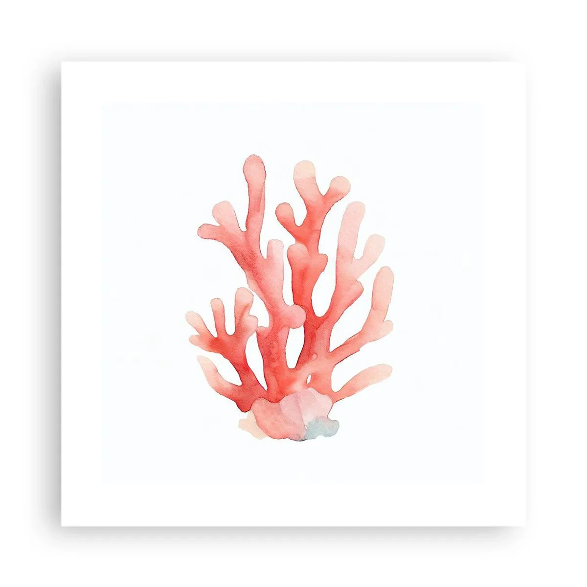 Affiche - Poster - Corail couleur corail - 40x40 cm