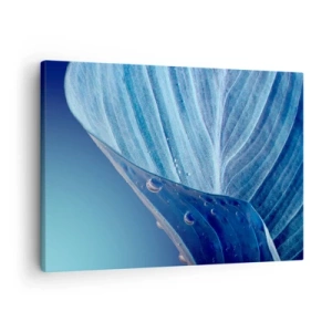 Impression sur toile - Image sur toile - Une feuille bleue avec des gouttes d'eau visibles - 70x50cm - Gouttes cachées du bleu - Décoration murale moderne pour le salon et la chambre ARTTOR