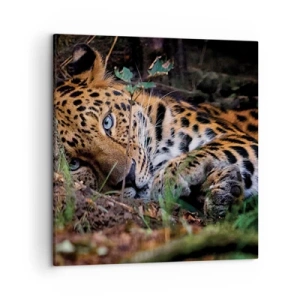 Impression sur toile - Image sur toile - Fais-moi confiance - 50x50 cm