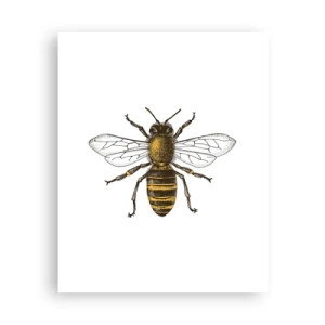 Affiche - Poster - Belle et bonne - 40x50 cm