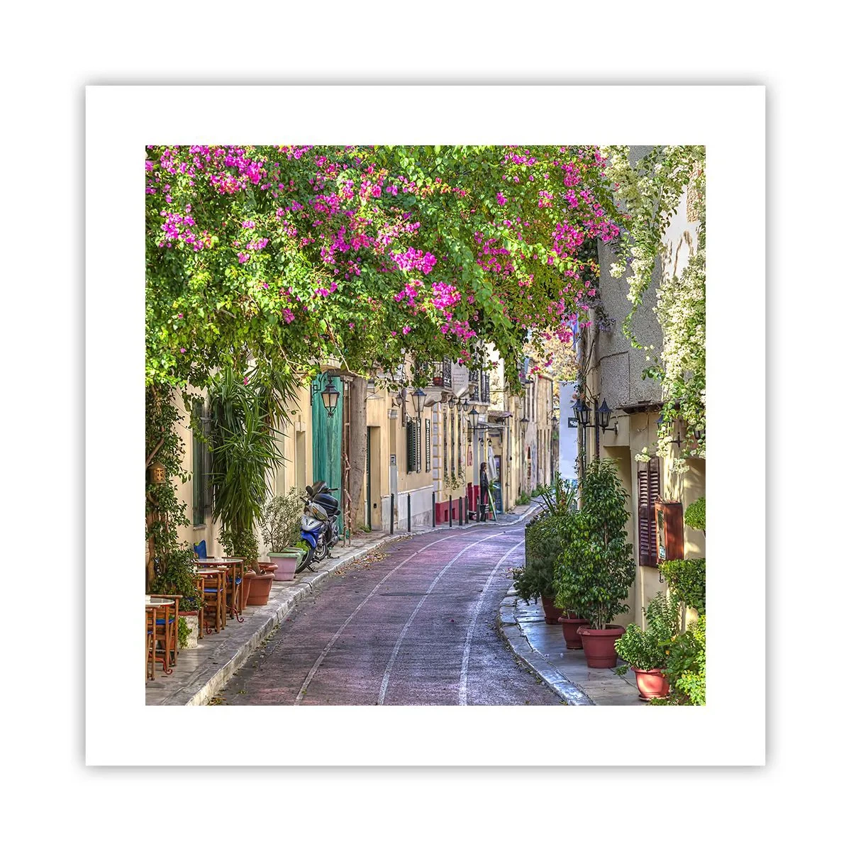 Affiche - Poster - Allée fleurie - 40x40 cm