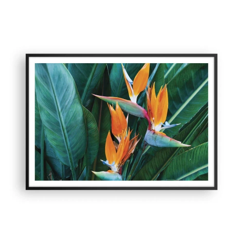 Affiche dans un cadre noir - Poster - Fleurs de strelitzia exotiques entourées de feuilles vertes - 100x70cm - Est-ce une fleur, est-ce un oiseaux? - Décoration murale moderne pour le salon et la chambre ARTTOR