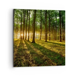 Impression sur toile - Image sur toile - Toutes les photographies de printemps - 70x70 cm