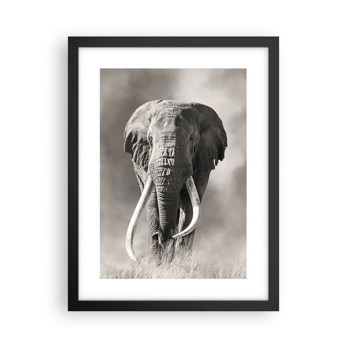 Affiche dans un cadre noir - Poster - Patriarche africain - 30x40 cm