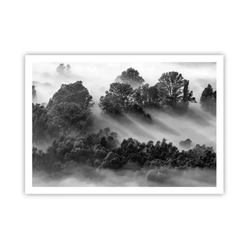 Affiche - Poster - Paysage forestier noir et blanc dans le brouillard du matin - 100x70cm - Sortir de son sommeil - Décoration murale moderne pour le salon et la chambre ARTTOR