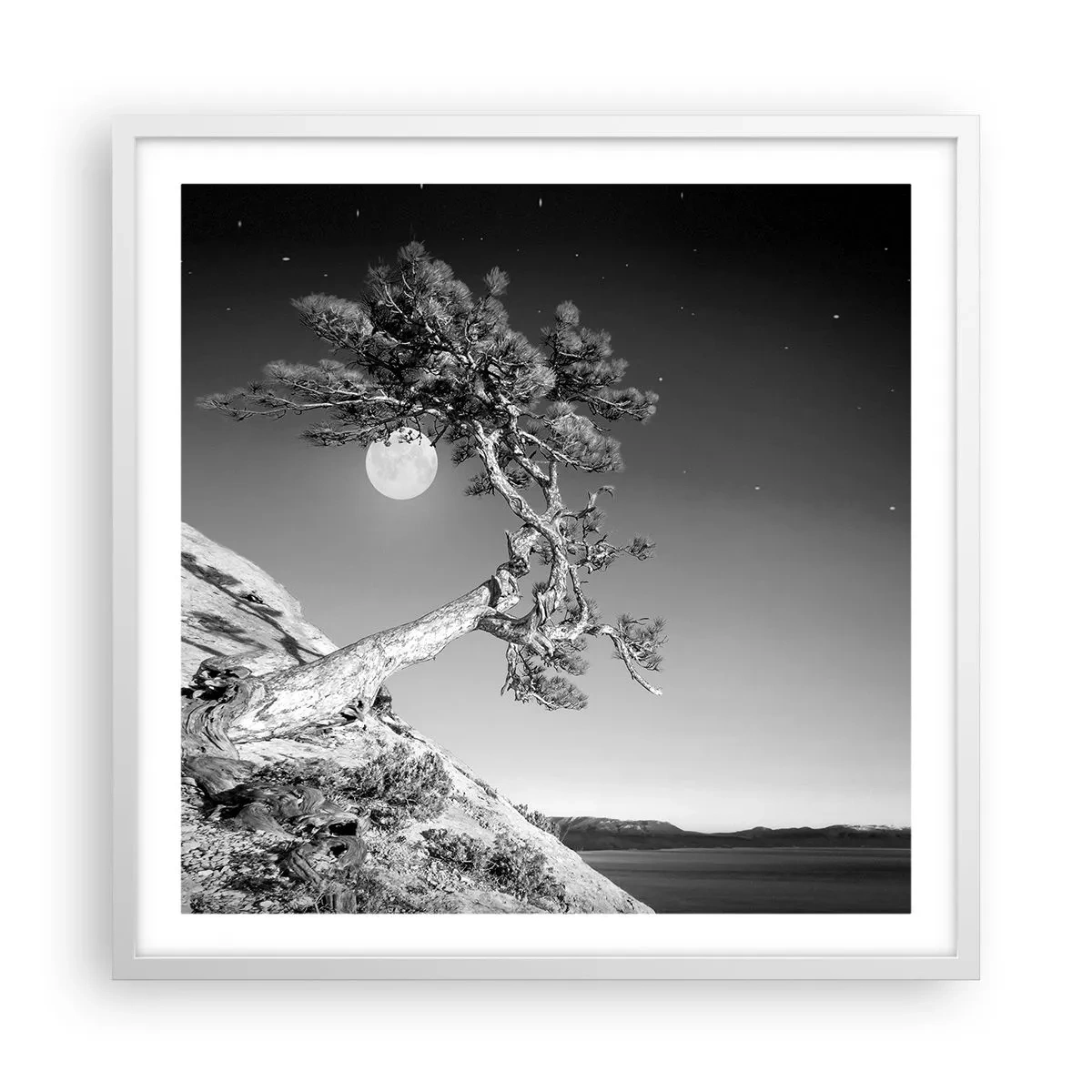 Affiche dans un cadre blanc - Poster - Un combattant vainqueur - 60x60 cm