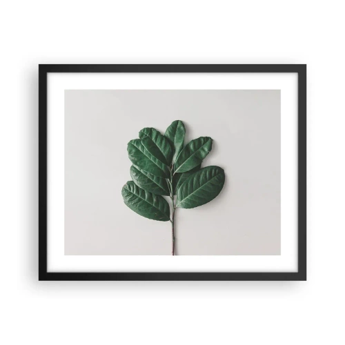 Affiche dans un cadre noir - Poster - Dessin de la nature elle-même - 50x40 cm