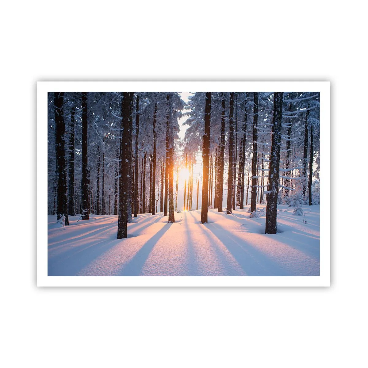 Affiche - Poster - Forêt d'hiver illuminée par les rayons du soleil - 100x70cm - Clairement en noir et blanc - Décoration murale moderne pour le salon et la chambre ARTTOR