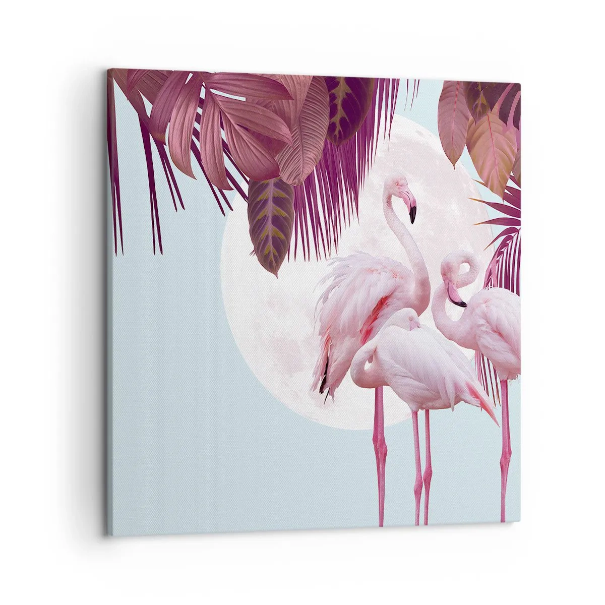 Impression sur toile - Image sur toile - Trois oiseaux gracieux - 50x50 cm