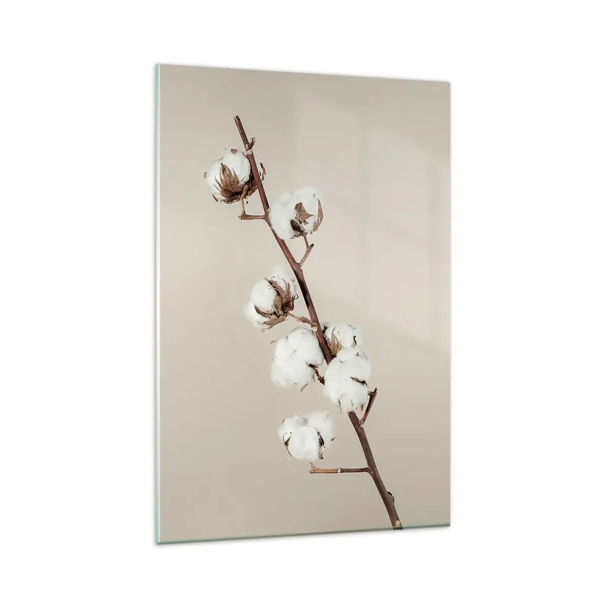 Impression sur verre - Image sur verre - Un brin de coton sur fond beige - 80x120cm - A la source de la douceur - Décoration murale moderne pour le salon et la chambre ARTTOR