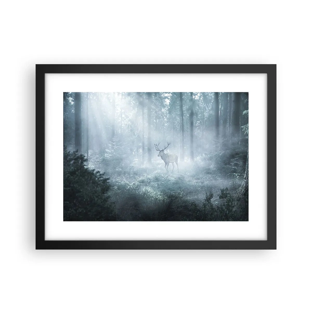 Affiche dans un cadre noir - Poster - Visite matinale du domaine - 40x30 cm