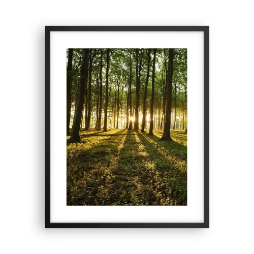 Affiche dans un cadre noir - Poster - Toutes les photographies de printemps - 40x50 cm