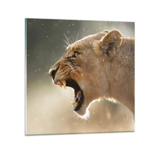 Impression sur verre - Image sur verre - Essayez  de ne pas écouter - 70x70 cm