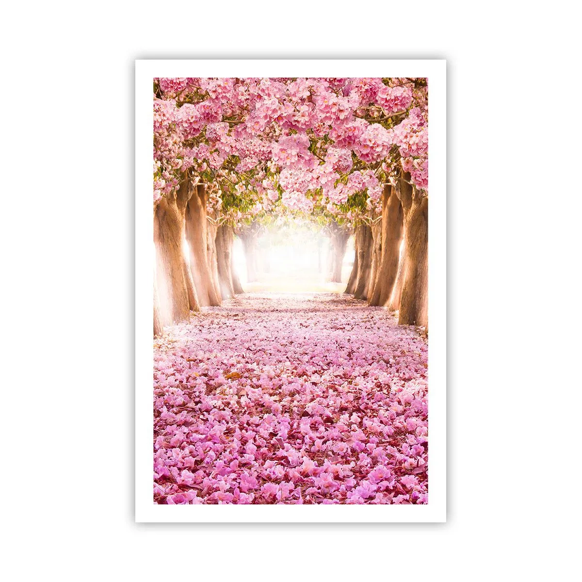Affiche - Poster - La route du paradis - 61x91 cm